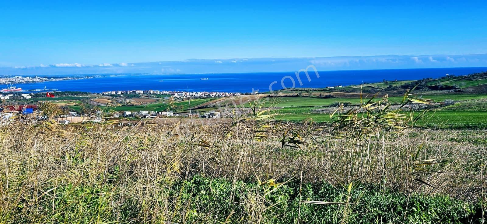 Muhteşe Deniz Doğa Ve Şehir Manzaralı 4 Adet Lüxs Villa Projesine Uygun Fırsat Kelepir Arsa - Görsel 2