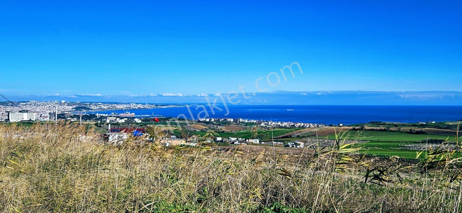 Muhteşe Deniz Doğa Ve Şehir Manzaralı 4 Adet Lüxs Villa Projesine Uygun Fırsat Kelepir Arsa - Görsel 3