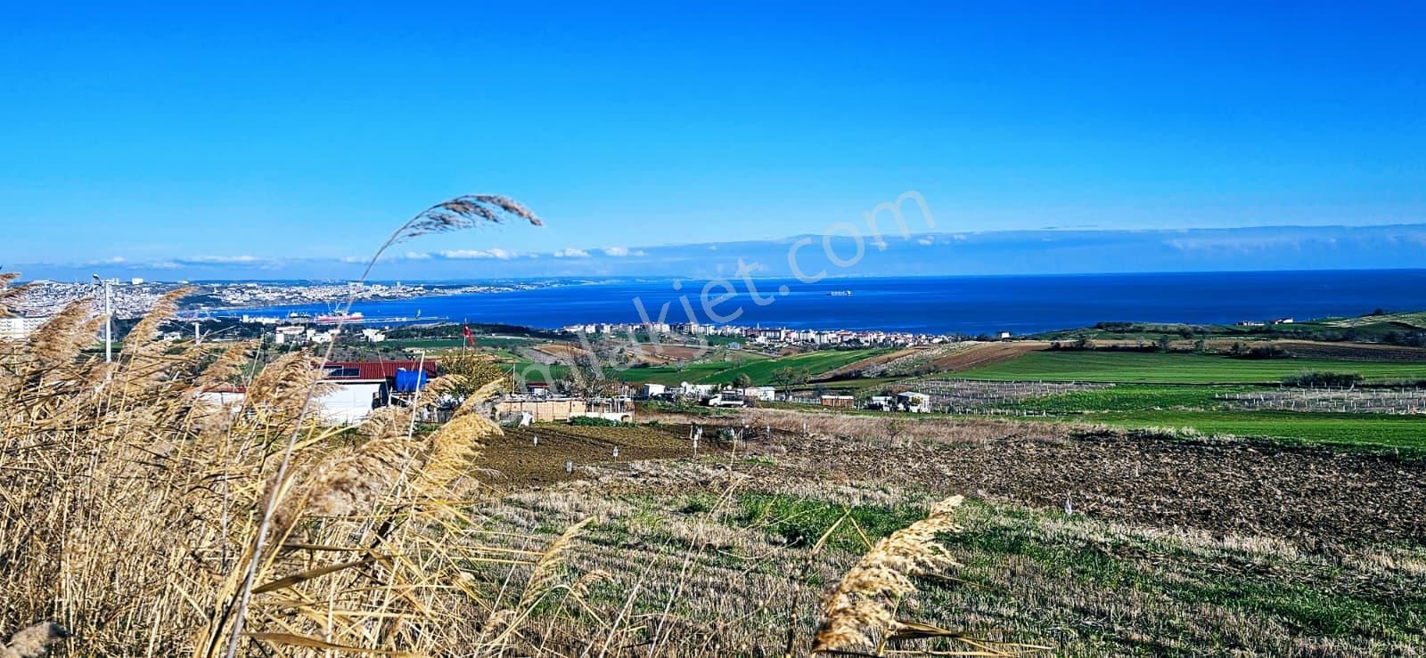 Muhteşe Deniz Doğa Ve Şehir Manzaralı 4 Adet Lüxs Villa Projesine Uygun Fırsat Kelepir Arsa - Görsel 6