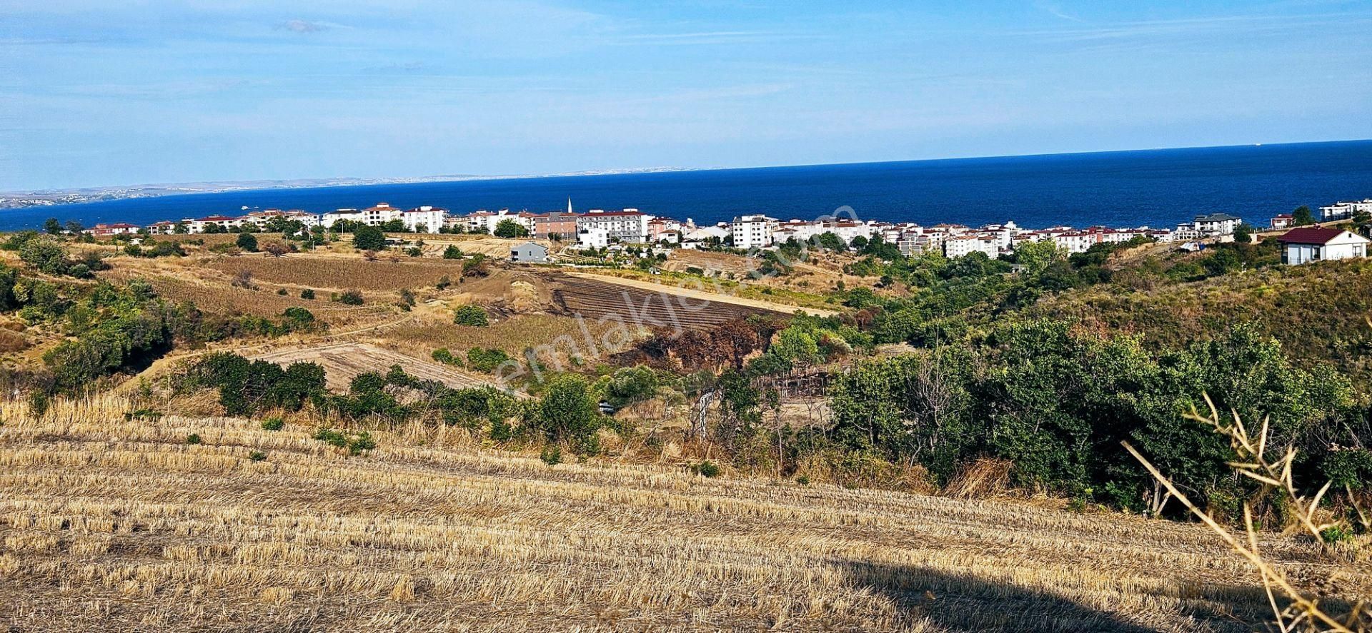 Villa Imarlı Full Deniz Manzaralı 2 - 3 Arkadaşın Ortaklaşa Al-sat Yapabilceği Fırsat Yer - Görsel 10