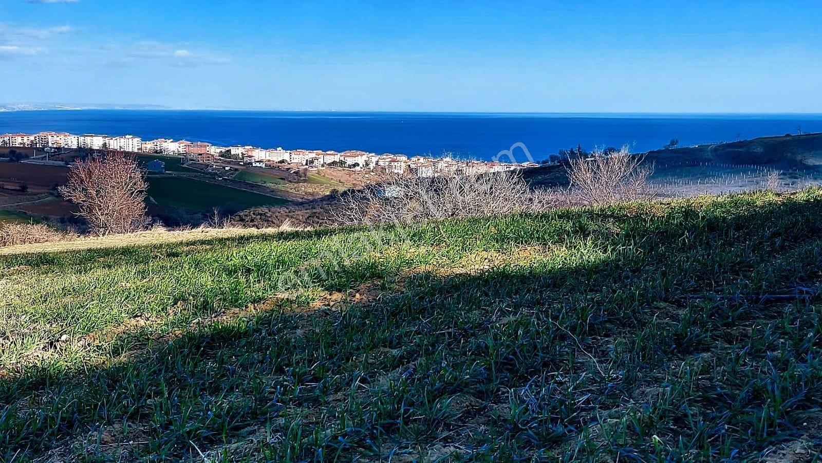 Villa Imarlı Full Deniz Manzaralı 2 - 3 Arkadaşın Ortaklaşa Al-sat Yapabilceği Fırsat Yer - Görsel 27