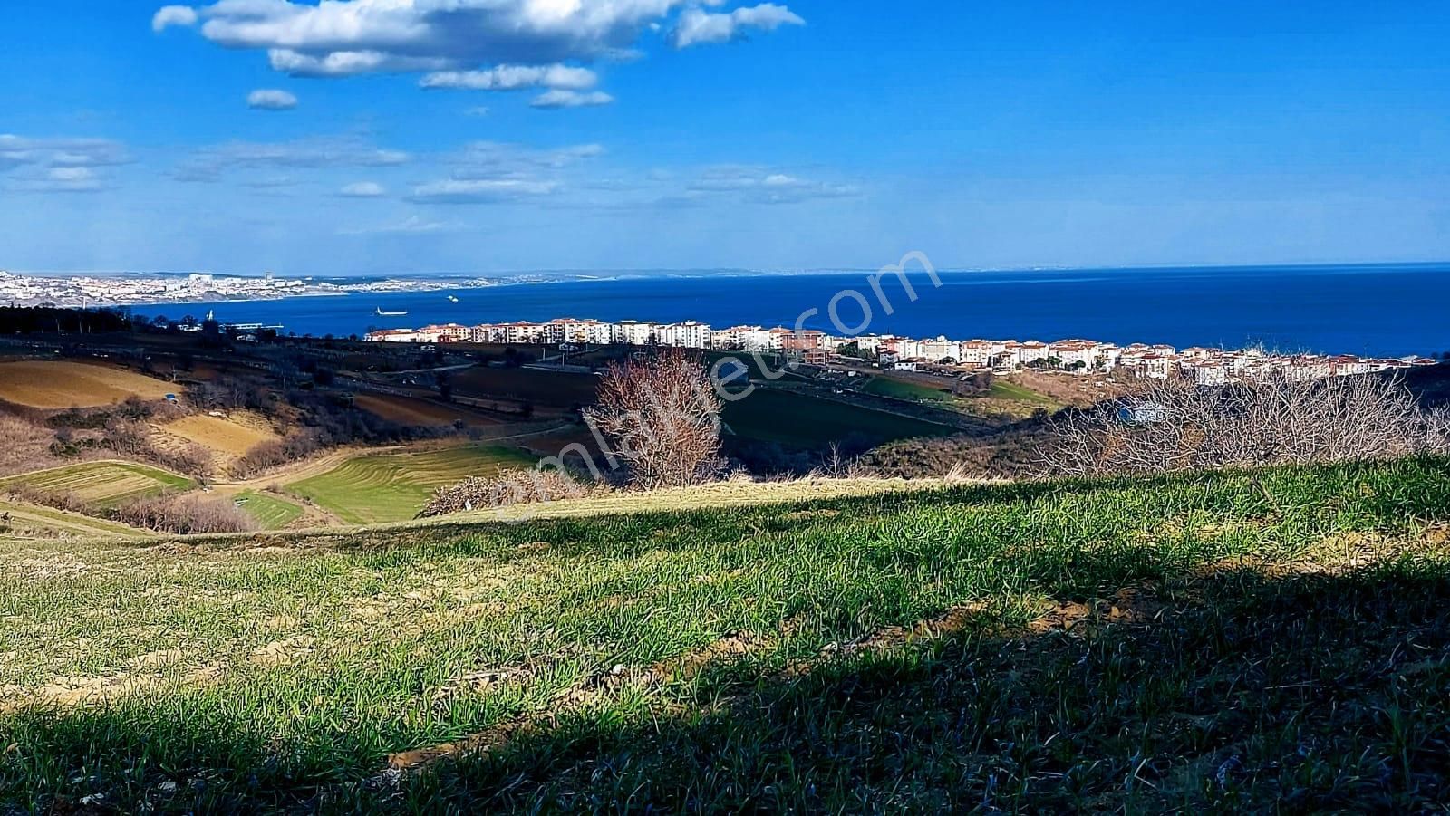 Villa Imarlı Full Deniz Manzaralı 2 - 3 Arkadaşın Ortaklaşa Al-sat Yapabilceği Fırsat Yer - Görsel 34