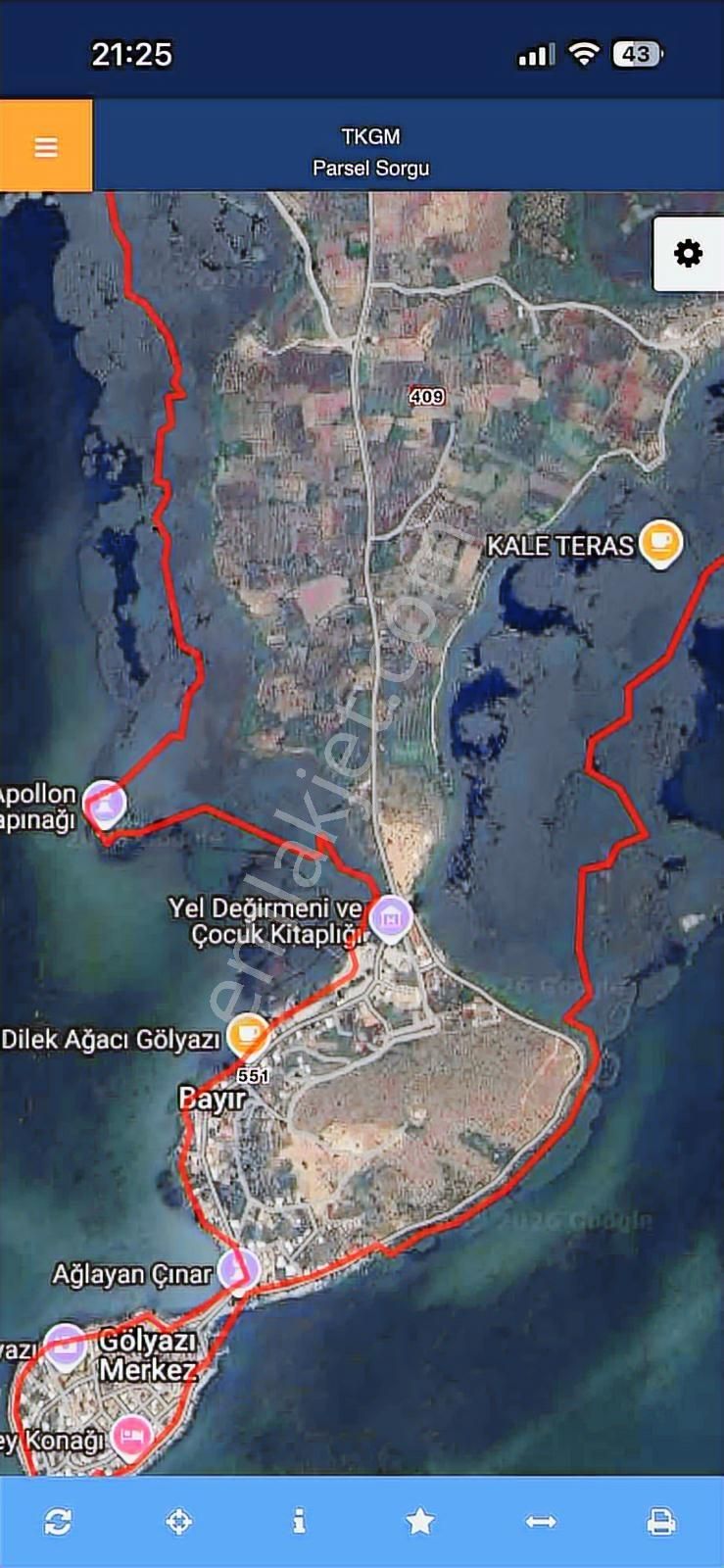 Gölyazı'da Satılık 1254 M2 Zeytinlik - Görsel 3