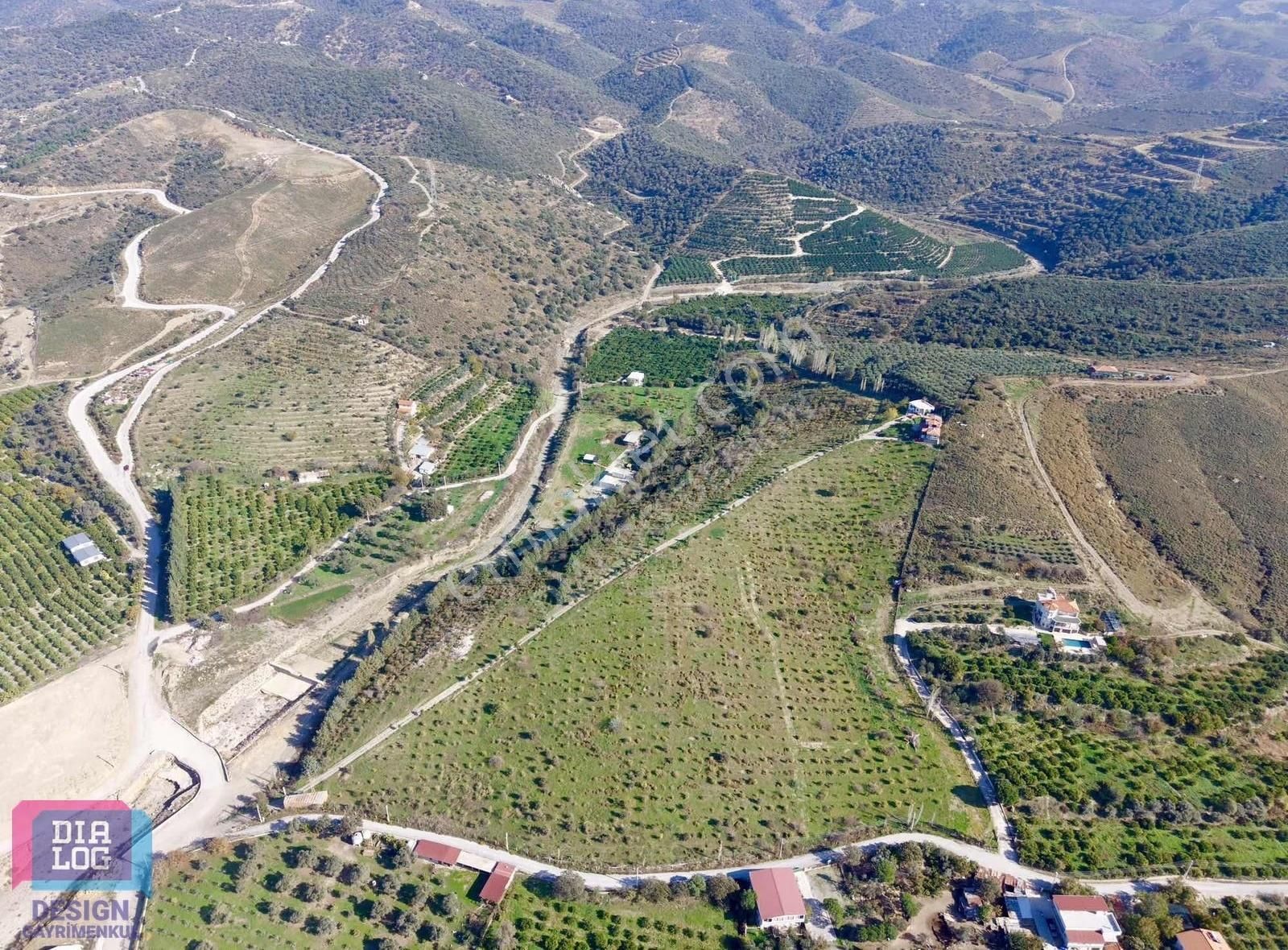 Seferihisar Tepecikte 63 Dönüm Arazi - Görsel 2