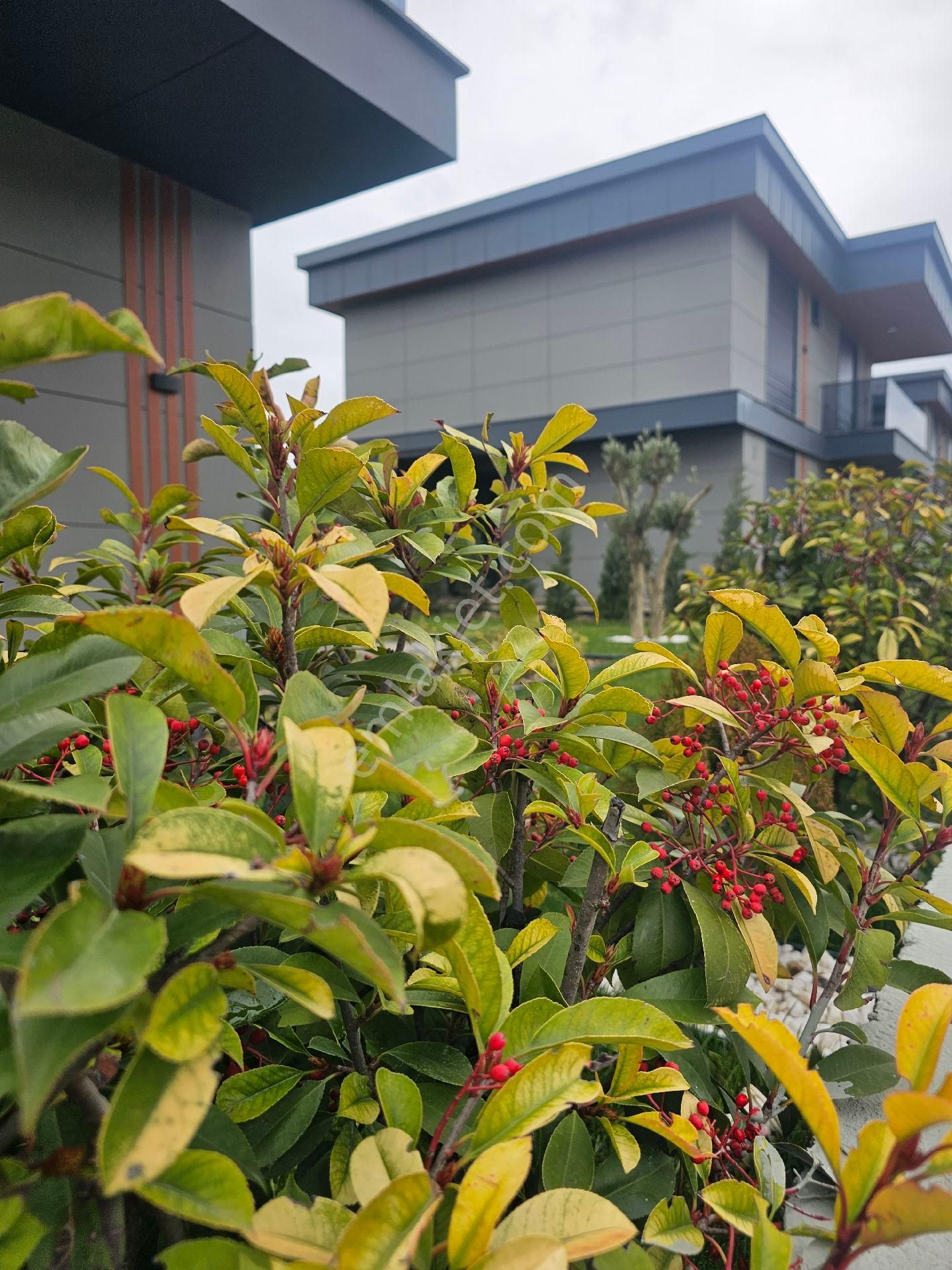 Silivri Satılık Villa - Görsel 2