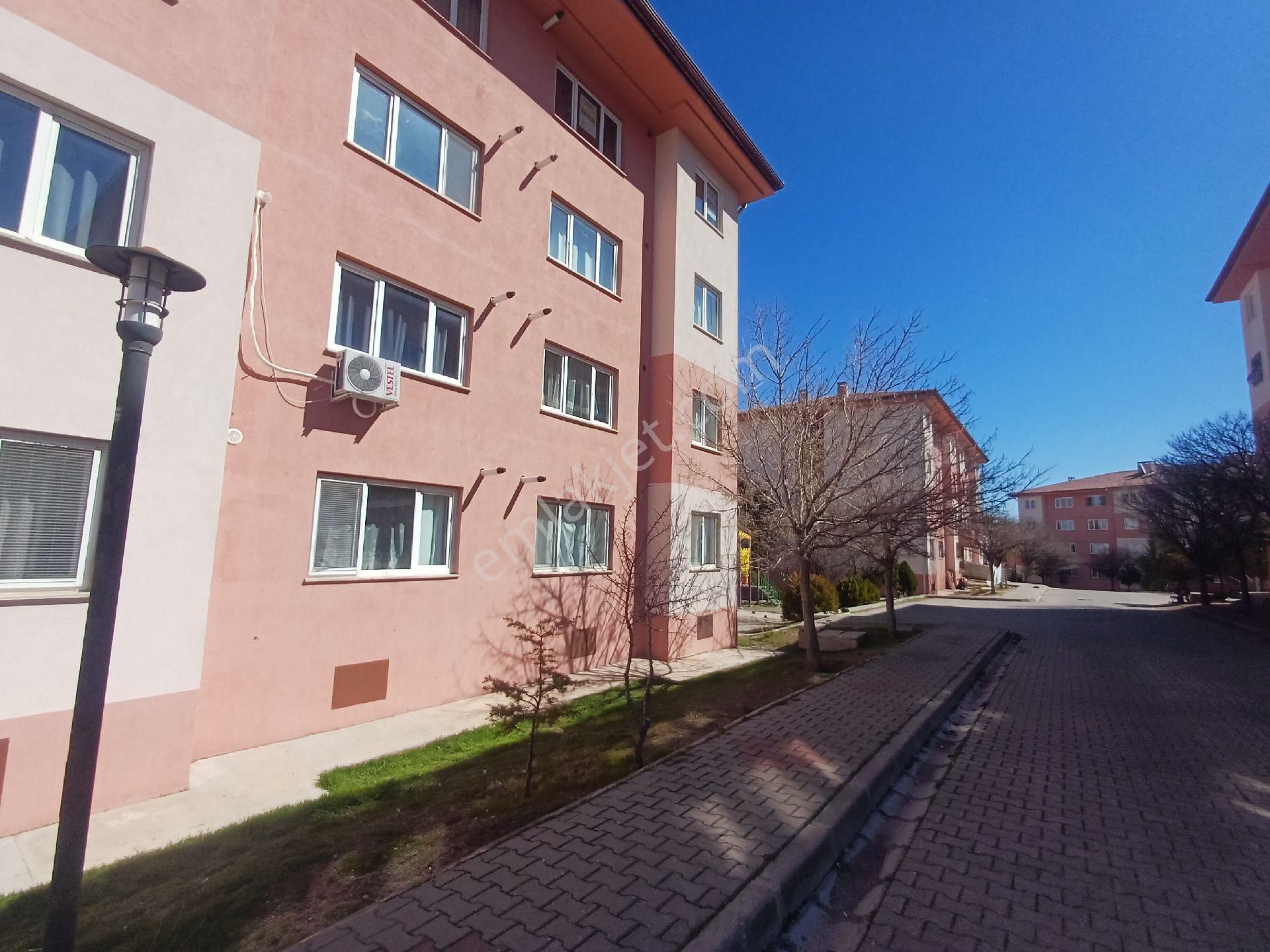 Meram Toki Gödenede - Görsel 3