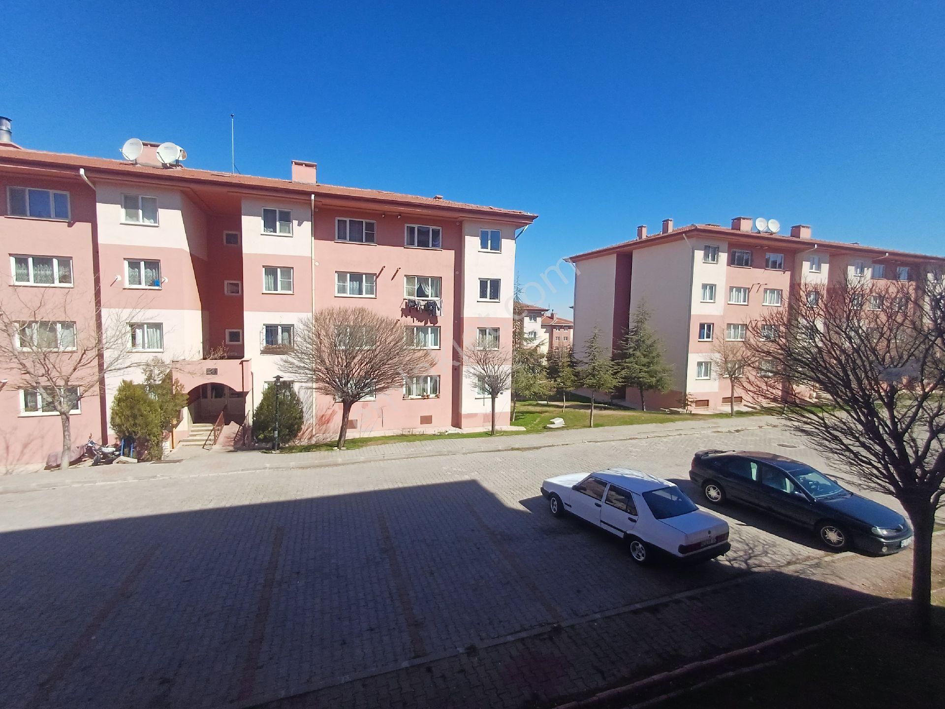 Meram Toki Gödenede - Görsel 7