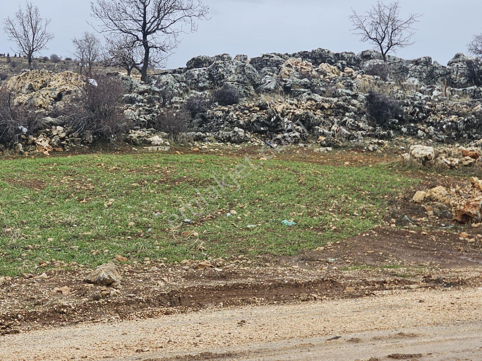 Hakev'den Erdemoğlu Mah.mustakil Arsa Satılıktır - Görsel 10