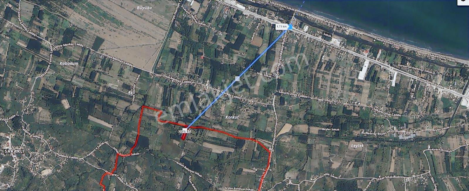 Revizyon'dan Hazır İçi Kavak Dolu Müstakil Ana Yola 2km Düz Arsa - Görsel 8
