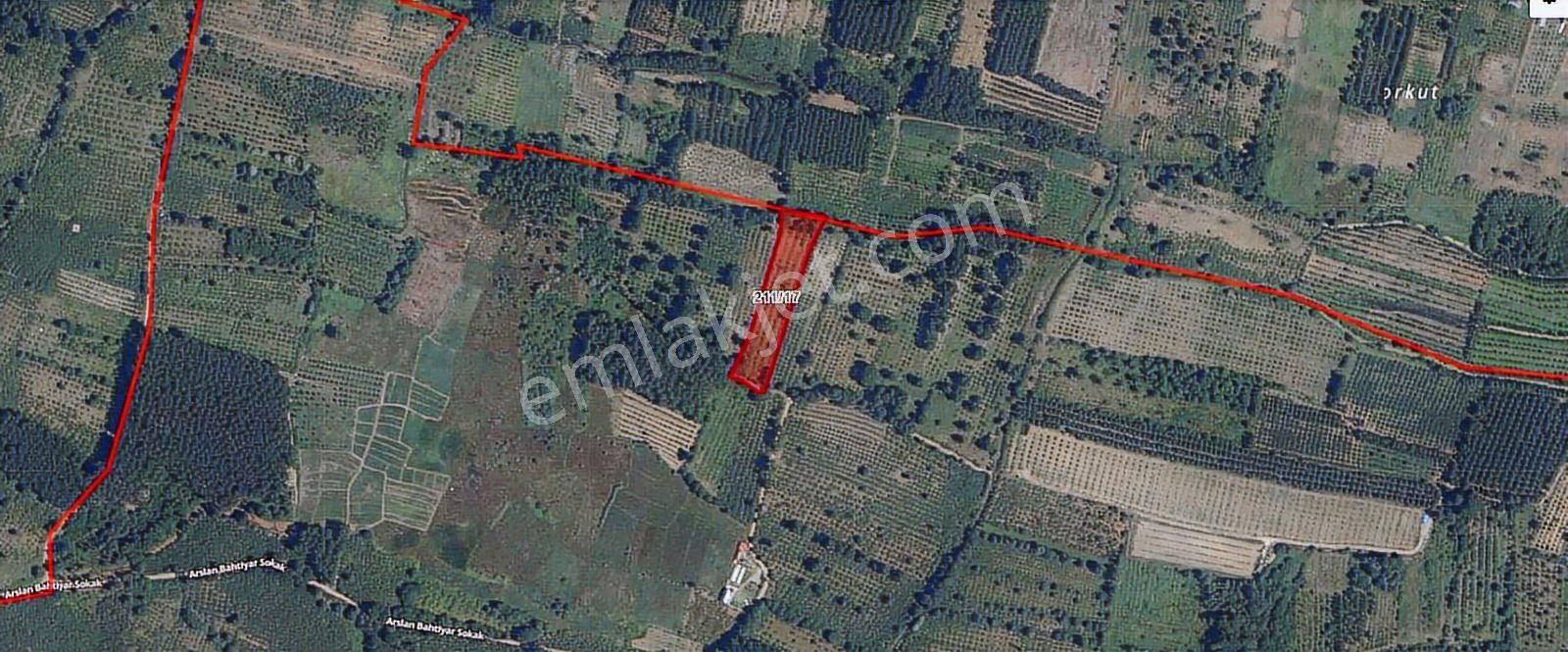 Revizyon'dan Hazır İçi Kavak Dolu Müstakil Ana Yola 2km Düz Arsa - Görsel 9