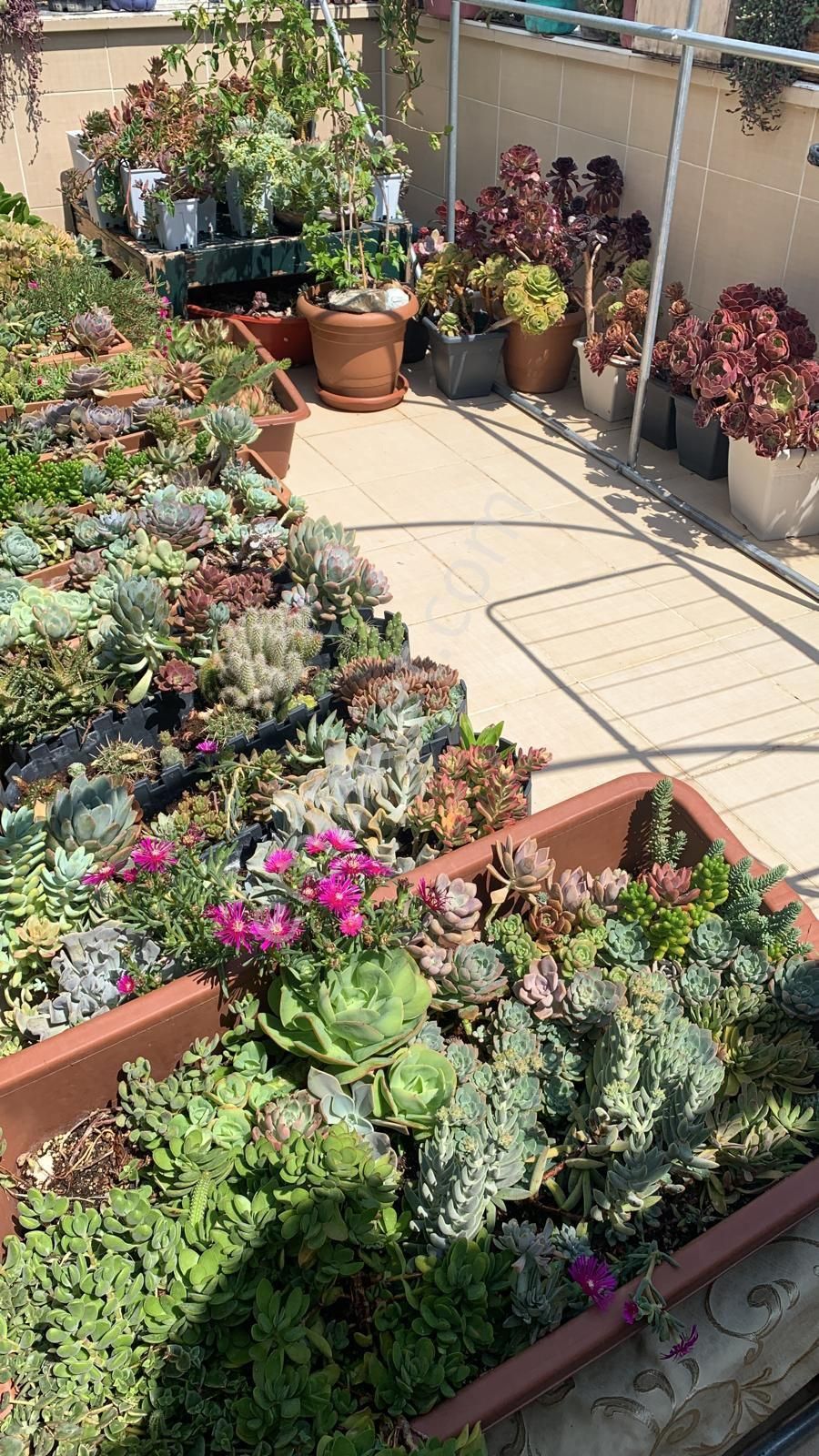 Sevgi Yolunda Dubleks - Görsel 21