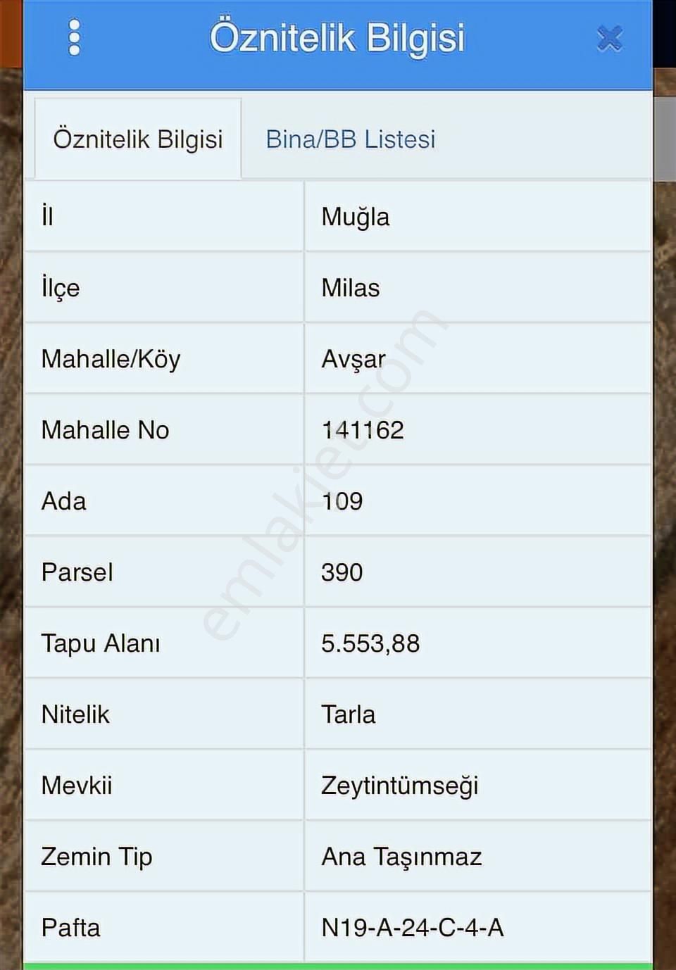 Havalimanına Komşu Satılık 5553 M2 Tarla - Görsel 3