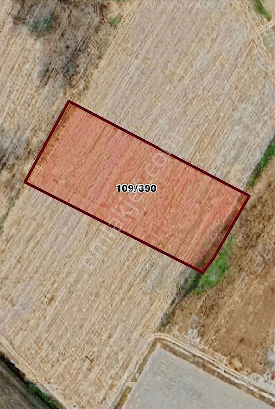 Havalimanına Komşu Satılık 5553 M2 Tarla