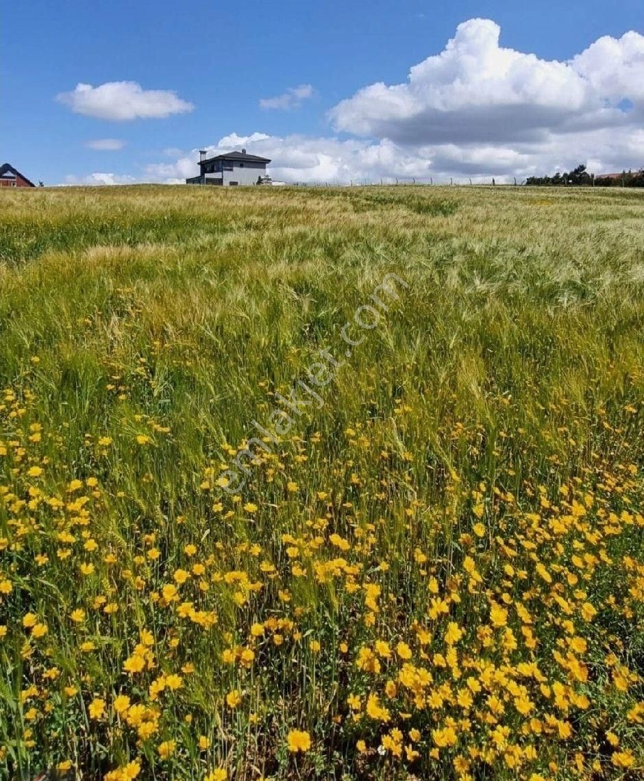 Kestanelik'te 5.059 M2 Satılık Arazi - Görsel 9