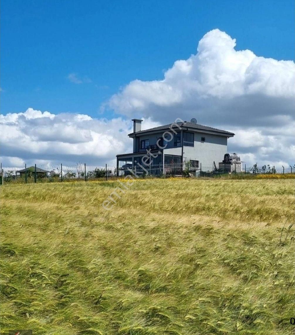 Kestanelik'te 5.059 M2 Satılık Arazi - Görsel 3