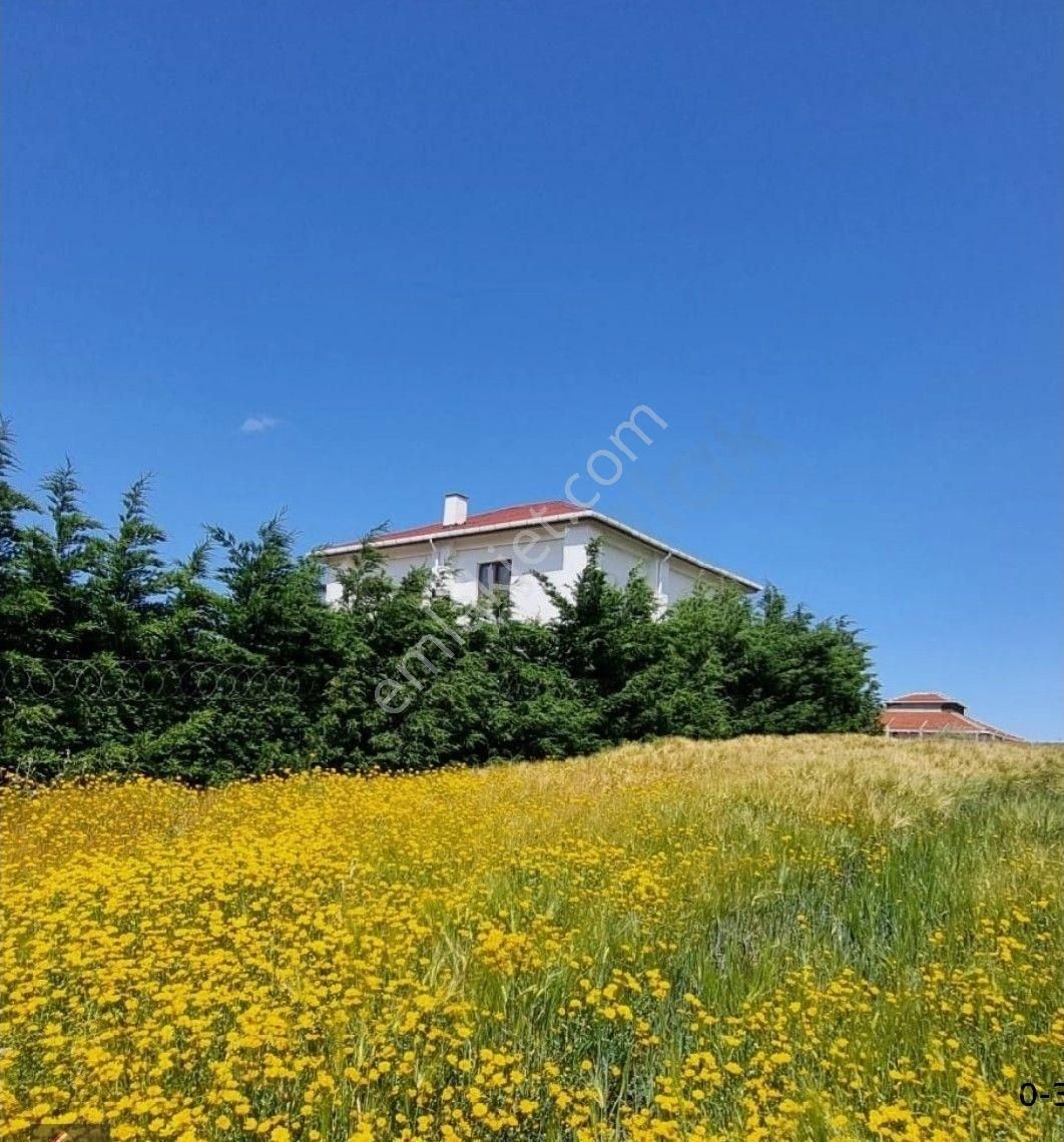 Kestanelik'te 5.059 M2 Satılık Arazi - Görsel 5