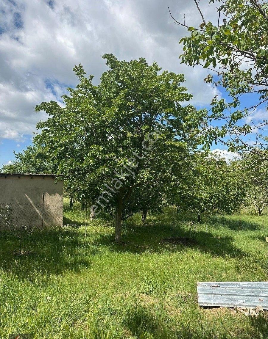Pehlivanköy Tilkipınar'da Satılık 909 M2 Satılık Arsa - Görsel 22