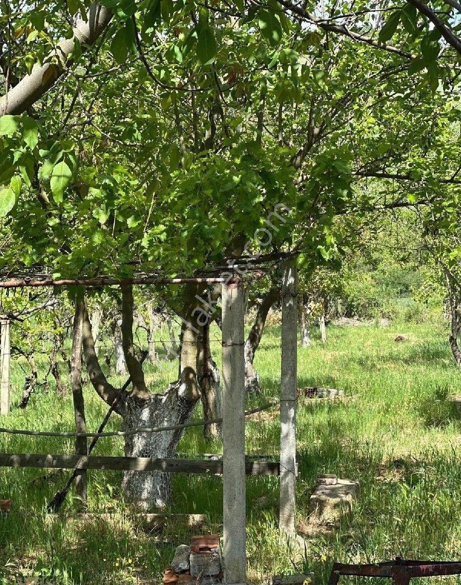Pehlivanköy Tilkipınar'da Satılık 909 M2 Satılık Arsa - Görsel 3