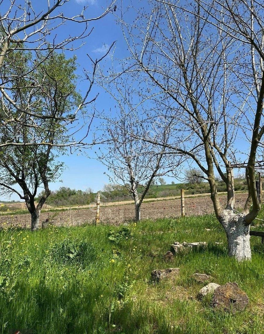 Pehlivanköy Tilkipınar'da Satılık 909 M2 Satılık Arsa - Görsel 2