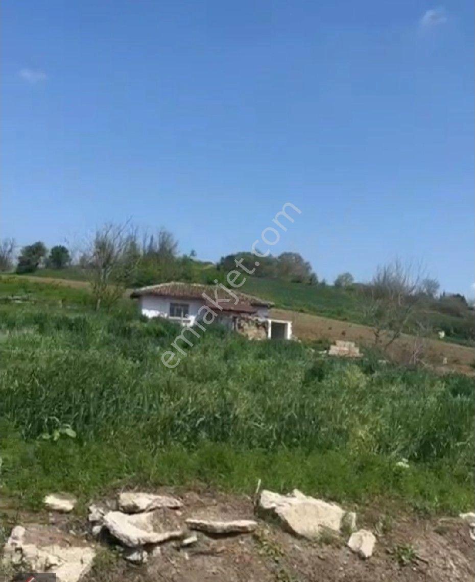 Pehlivanköy Tilkipınar'da Satılık 909 M2 Satılık Arsa - Görsel 21