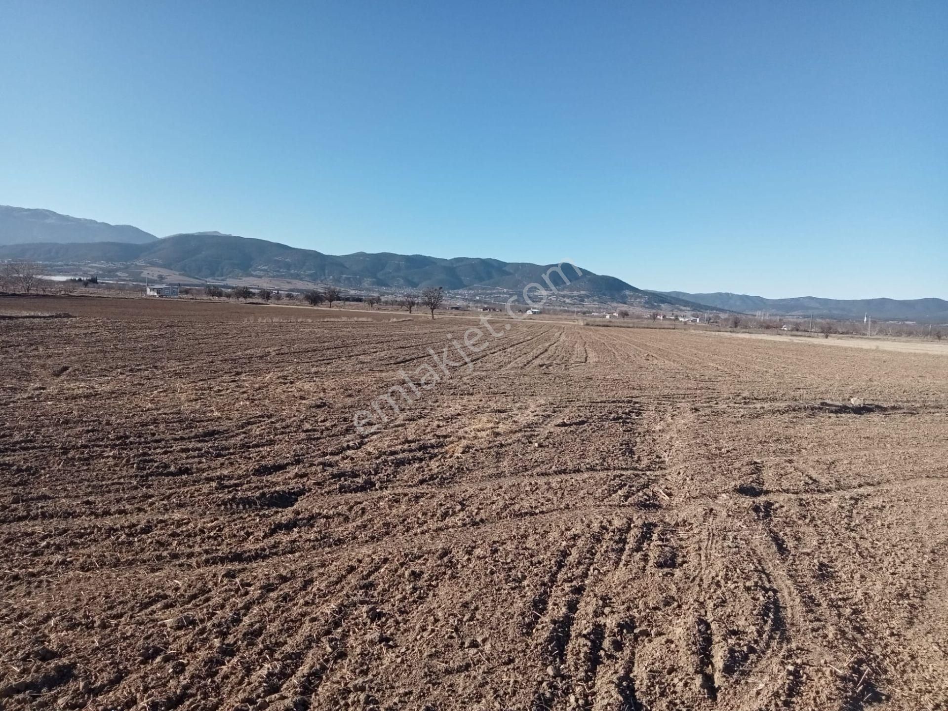 Antalya Bozova'da Yatırımlık Dev Arazi! - Görsel 5