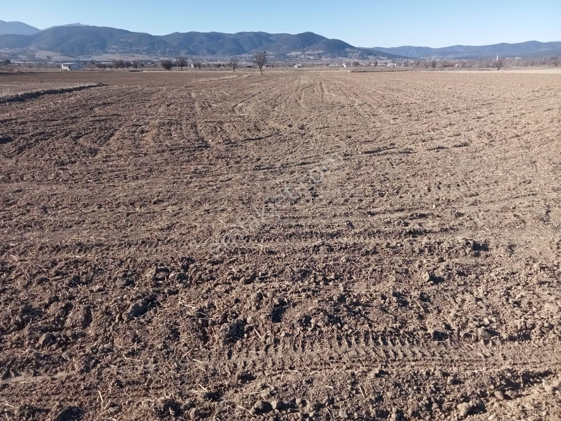 Antalya Bozova'da Yatırımlık Dev Arazi! - Görsel 6