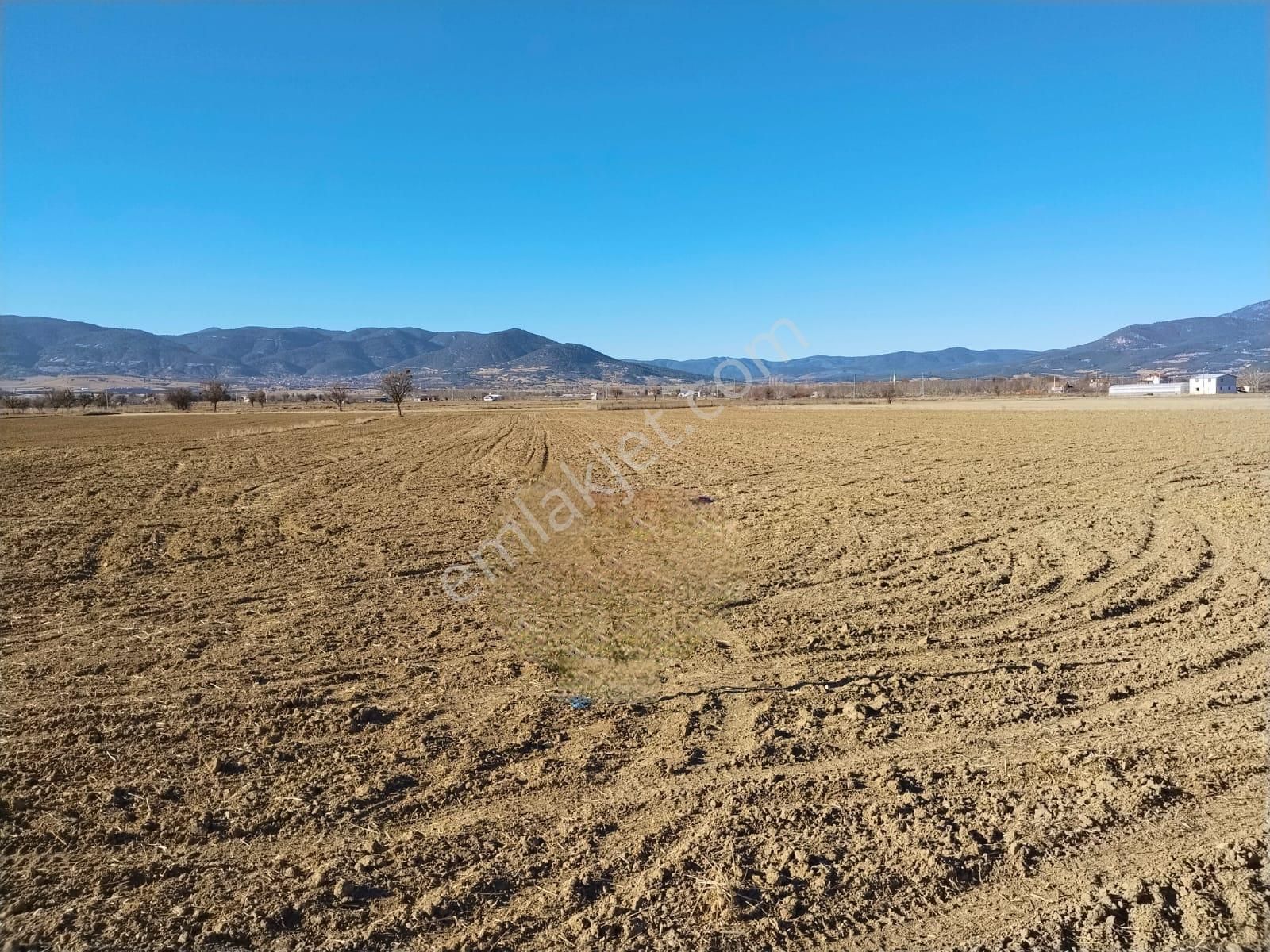 Antalya Bozova'da Yatırımlık Dev Arazi! - Görsel 4