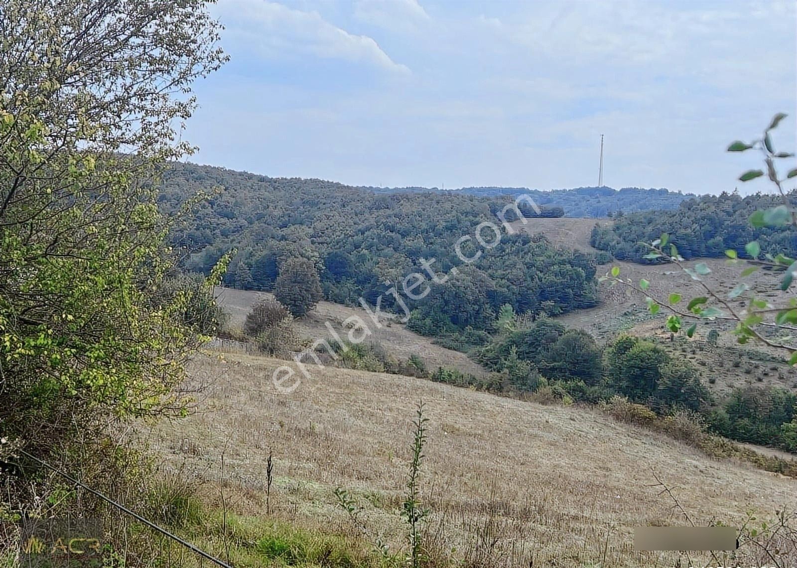 Acr Gyd'den Şile Hasanlı Köy Merkezine Yakın Satılık Tarla - Görsel 4