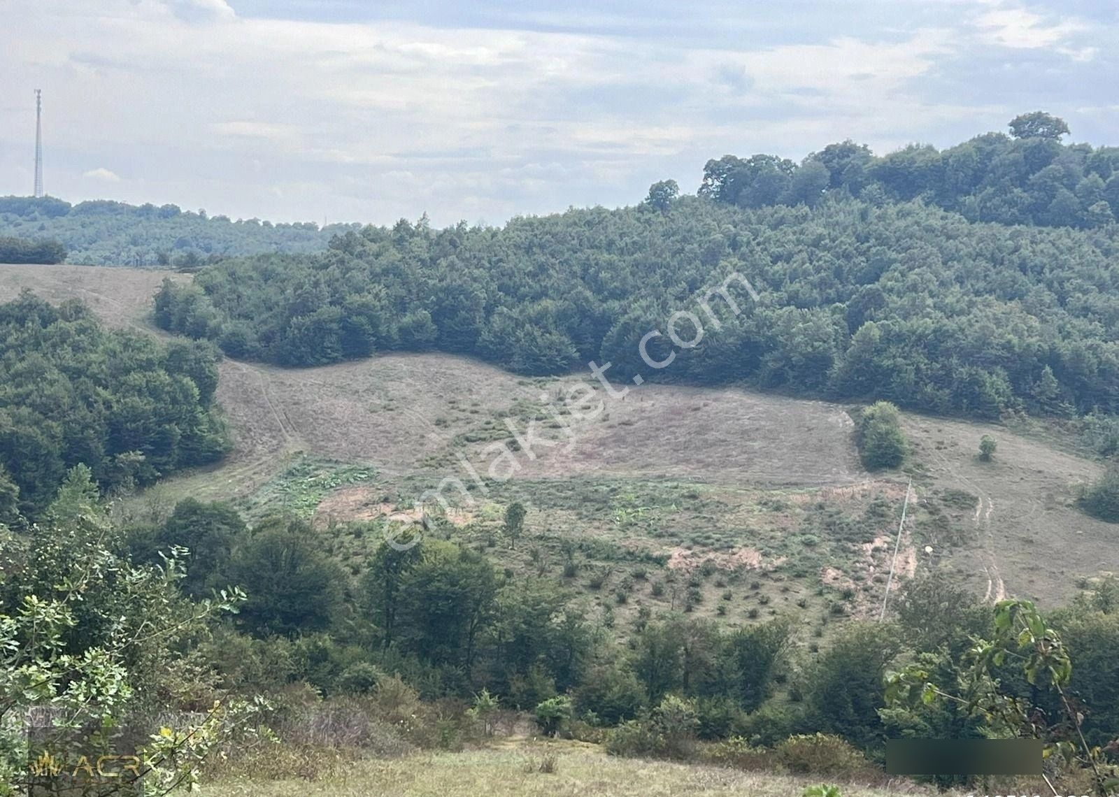 Acr Gyd'den Şile Hasanlı Köy Merkezine Yakın Satılık Tarla - Görsel 7