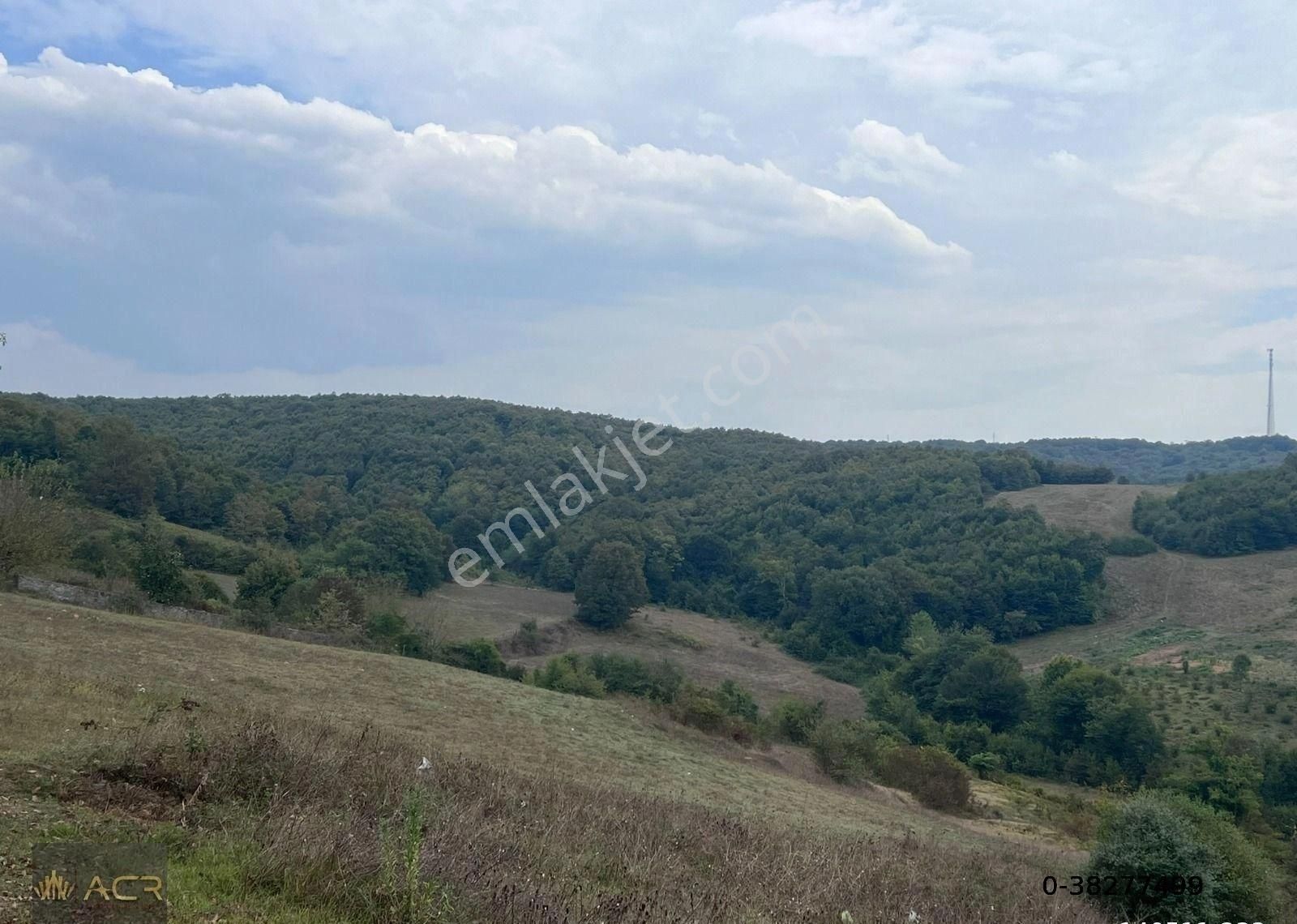 Acr Gyd'den Şile Hasanlı Köy Merkezine Yakın Satılık Tarla - Görsel 9