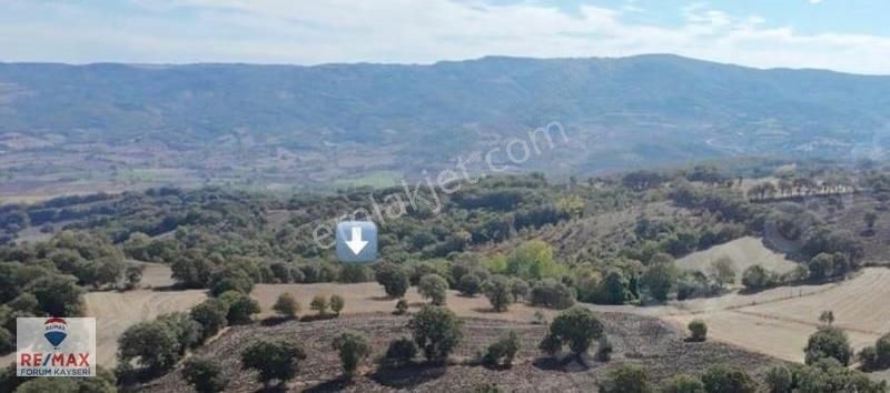 Çan Altıkulaç Köyünde Satılık Tarla