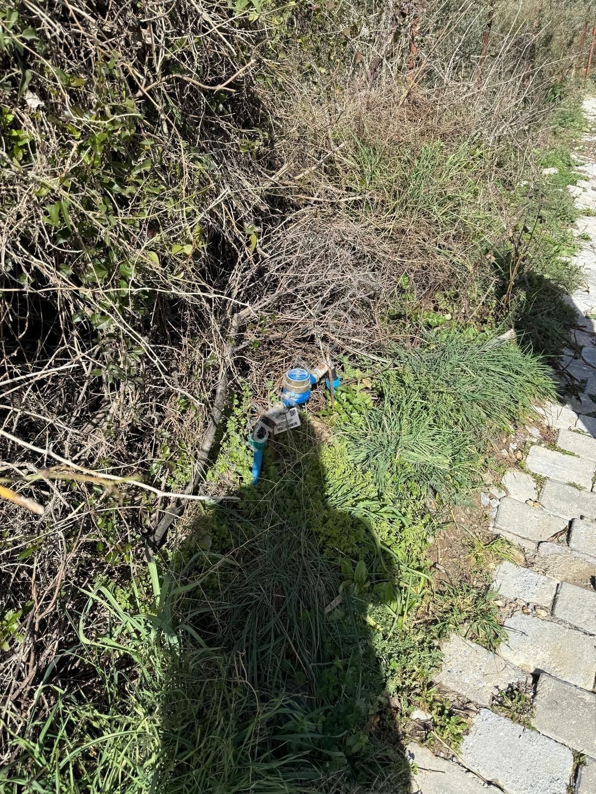 Söke Kuşadası Yolunda 7 Dönüm Satılık Arazi - Görsel 24