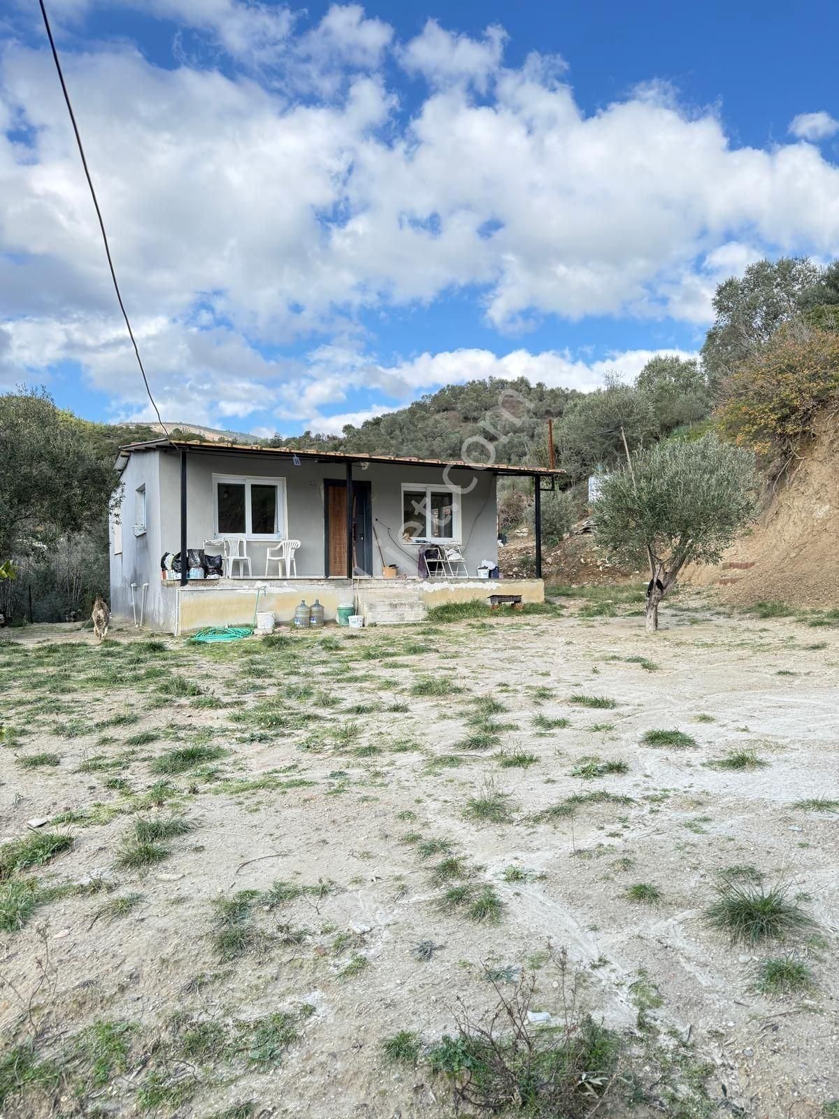 Söke Kuşadası Yolunda 7 Dönüm Satılık Arazi - Görsel 23