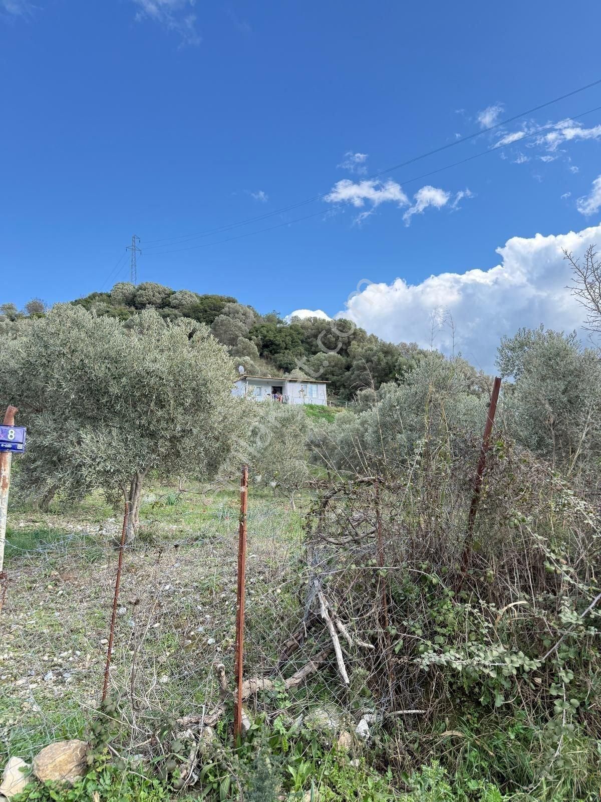 Söke Kuşadası Yolunda 7 Dönüm Satılık Arazi - Görsel 21