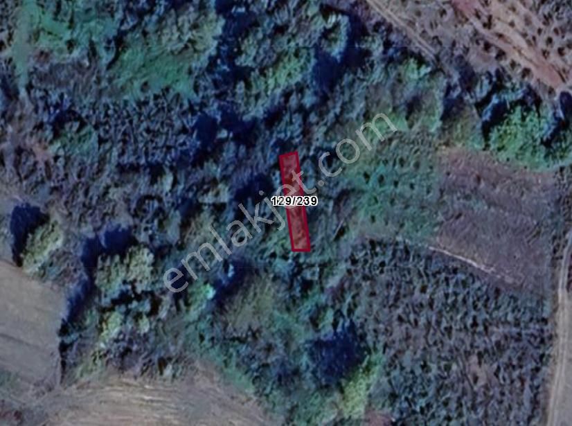 Kocaeli İzmit Bulduk Köyünde 105 M² Tarla Satılıktır