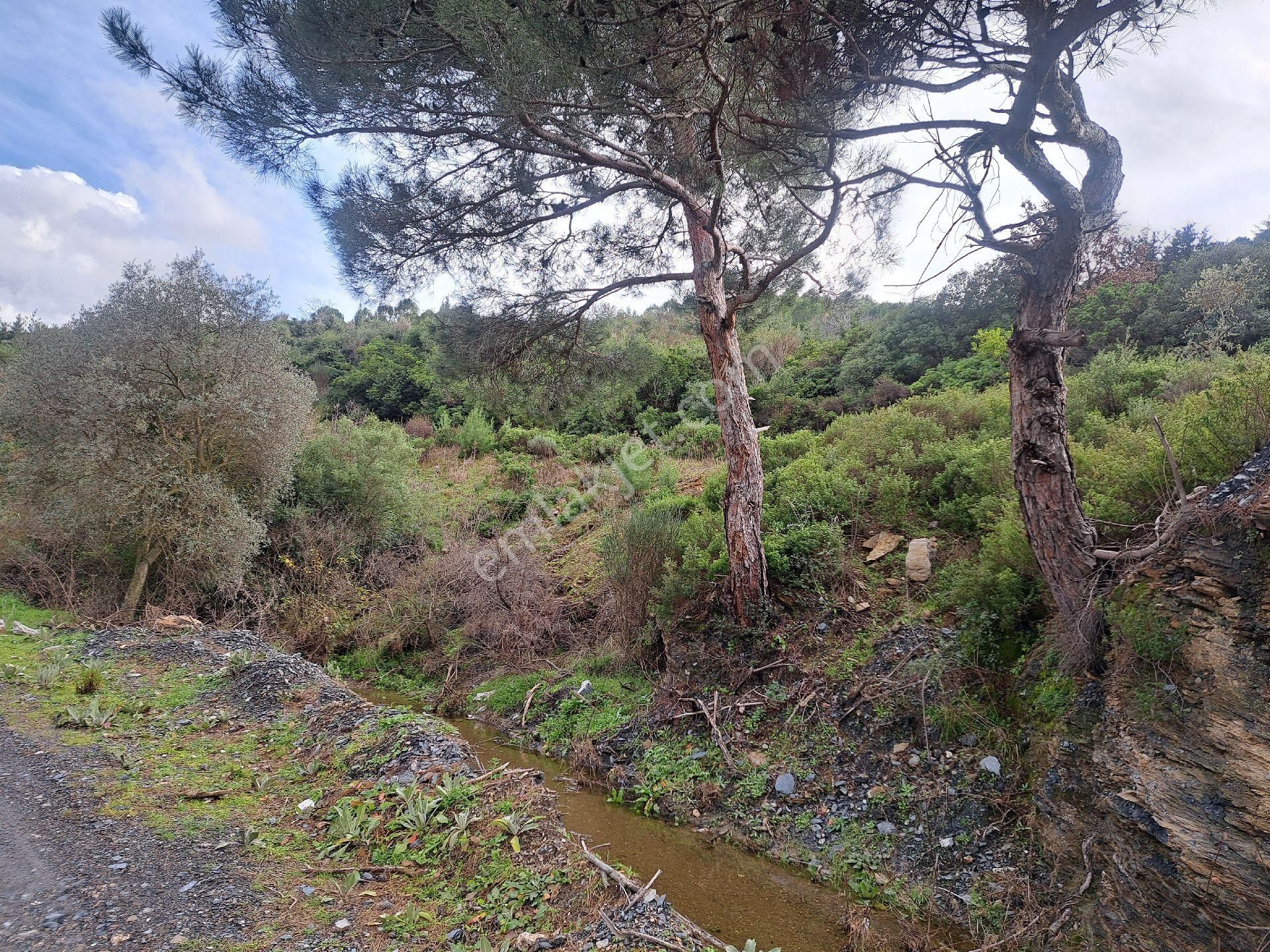 İzmir Seferihisar Beyler De Satılık Tarla - Görsel 12