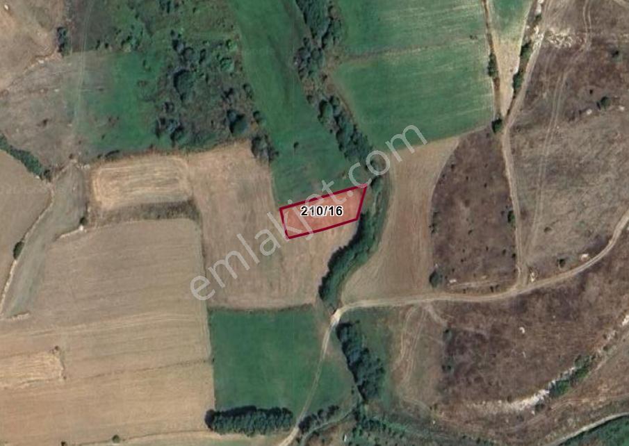 Kütahya Gediz Cebrail,fatih Köyünde 728 M² Tarla Satılıktır