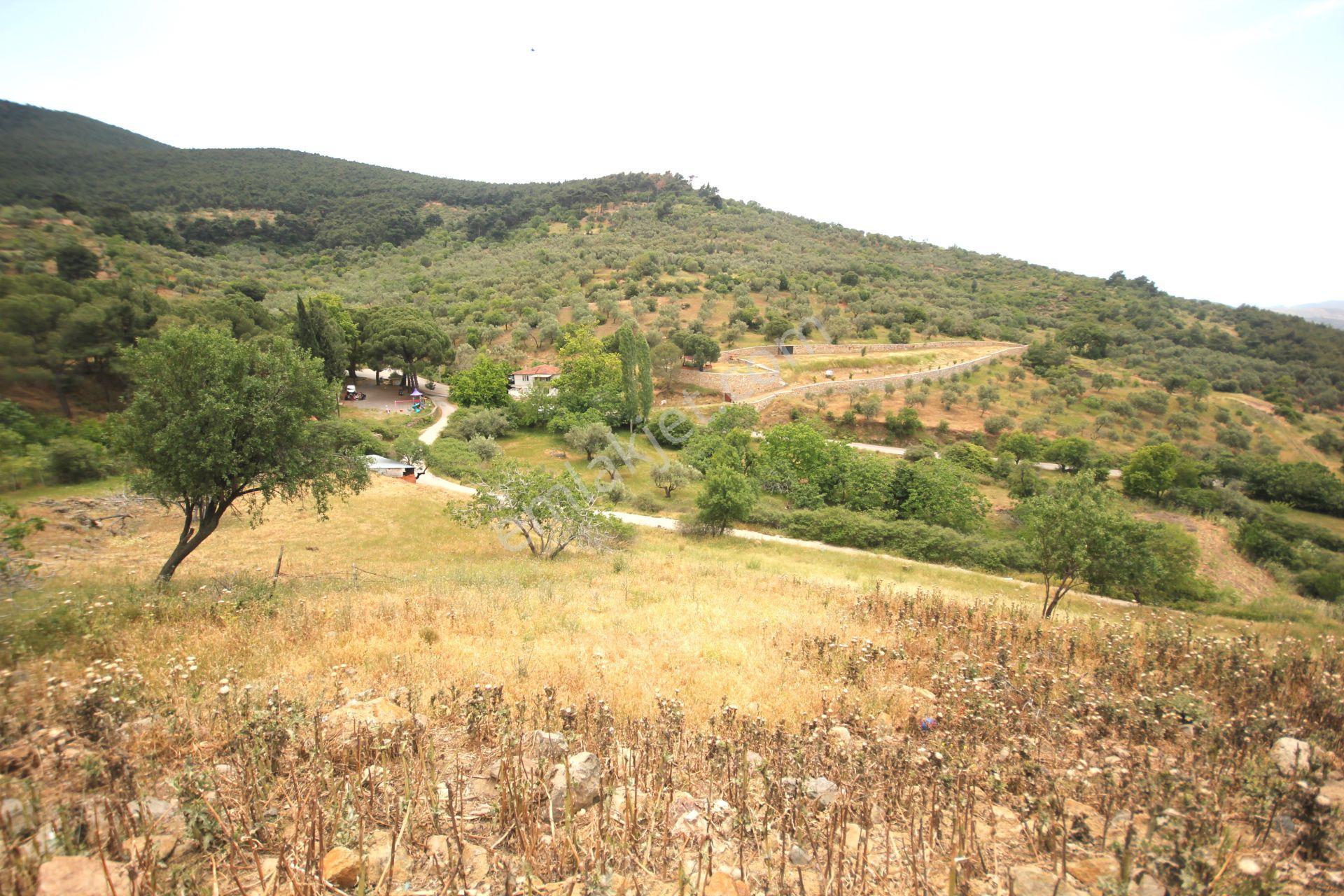💎aktiften Dutlucada Harika Manzaralı Satılık 751m2 Konut Arsa - Görsel 10
