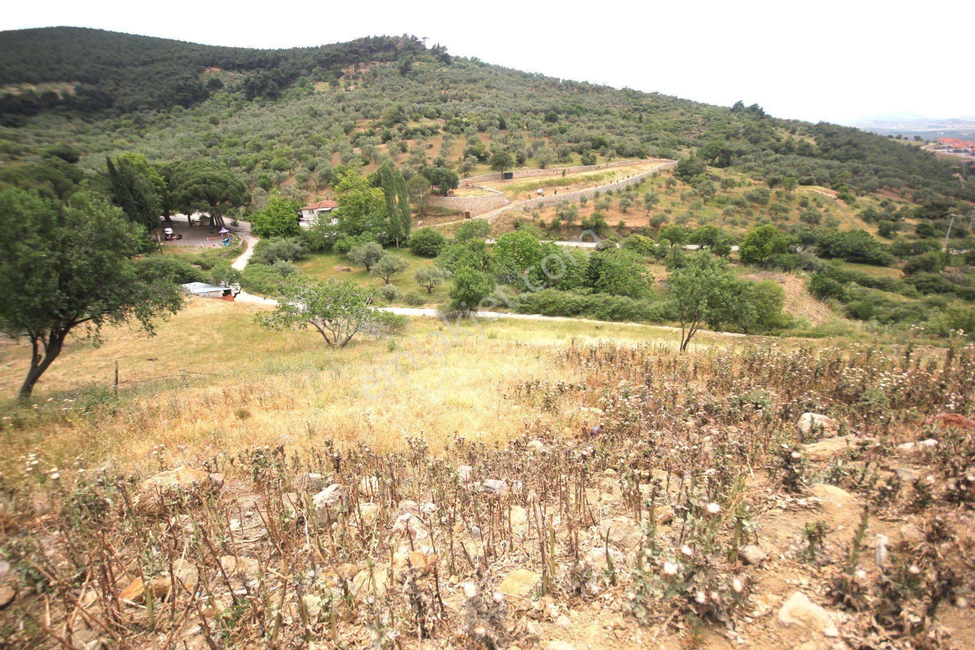 💎aktiften Dutlucada Harika Manzaralı Satılık 751m2 Konut Arsa - Görsel 19