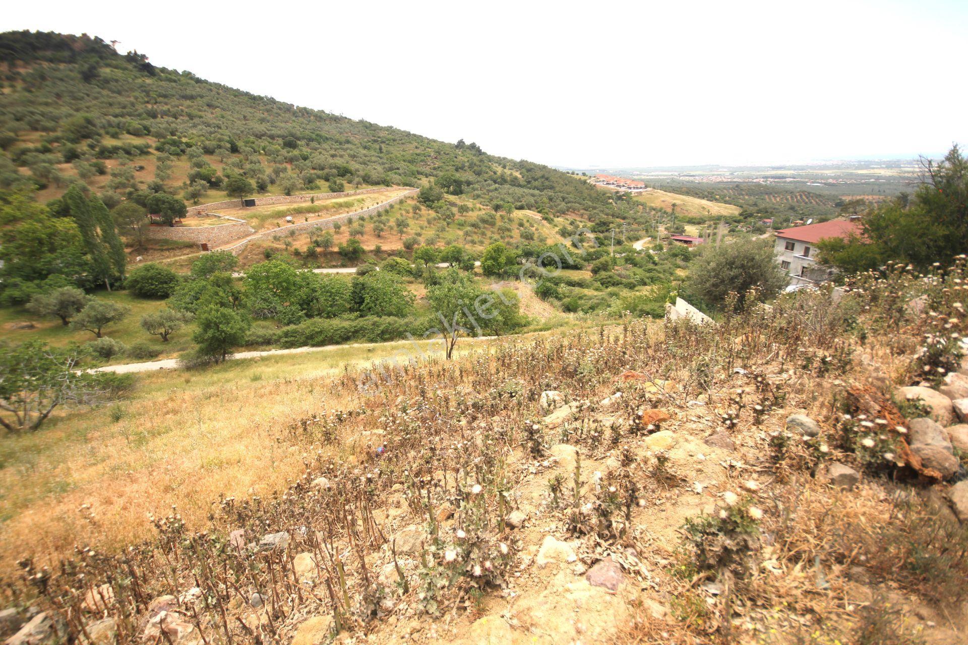 💎aktiften Dutlucada Harika Manzaralı Satılık 751m2 Konut Arsa - Görsel 21