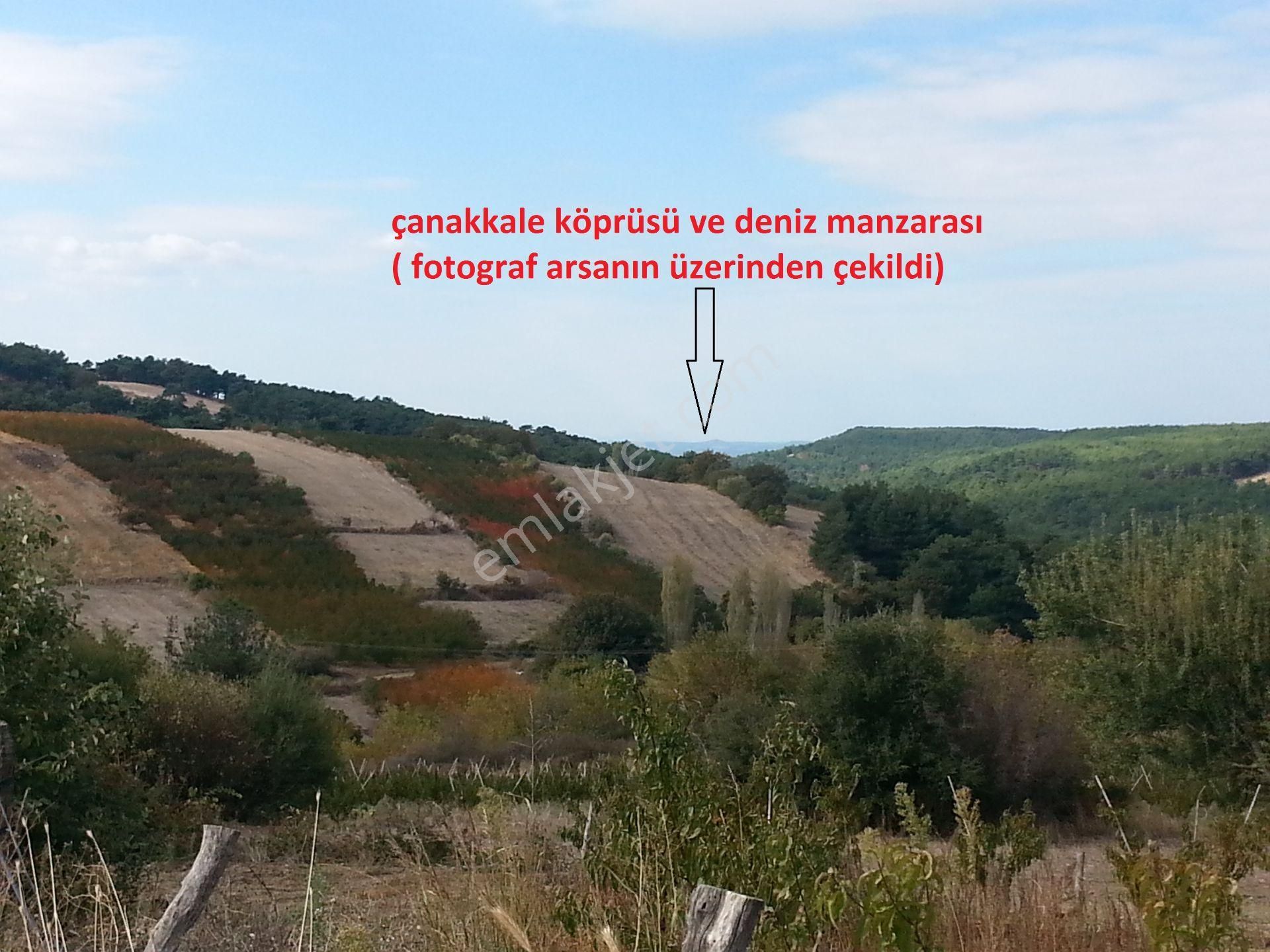 Çanakkale Köprü Otoyolu Lapseki Beybaşta Satılık Köy İmarlı Arsa - Görsel 7