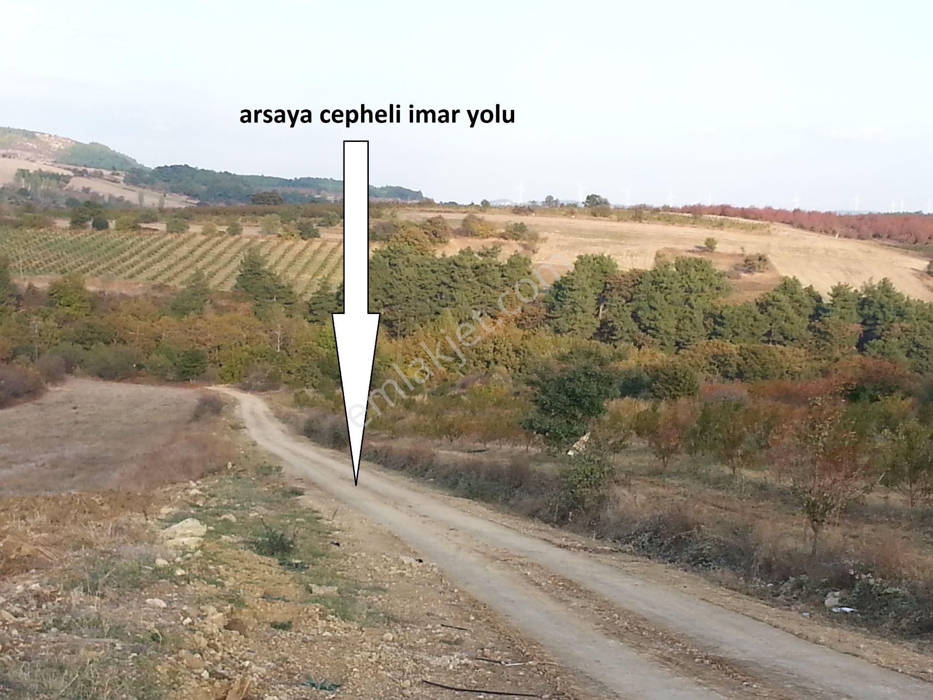Çanakkale Köprü Otoyolu Lapseki Beybaşta Satılık Köy İmarlı Arsa - Görsel 8