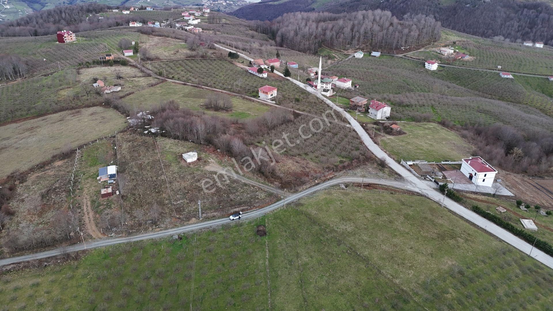 Çiftlikköyde 1505 M2 Yola Cephe Manzaralı Tarla - Görsel 2