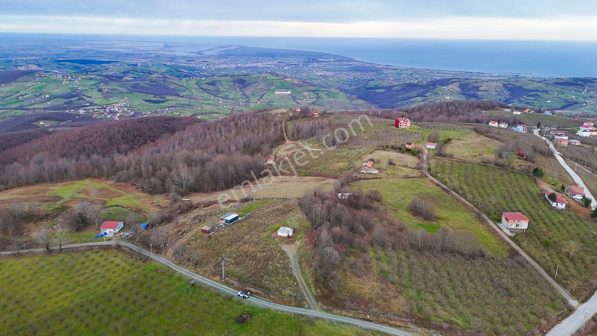 Çiftlikköyde 1505 M2 Yola Cephe Manzaralı Tarla