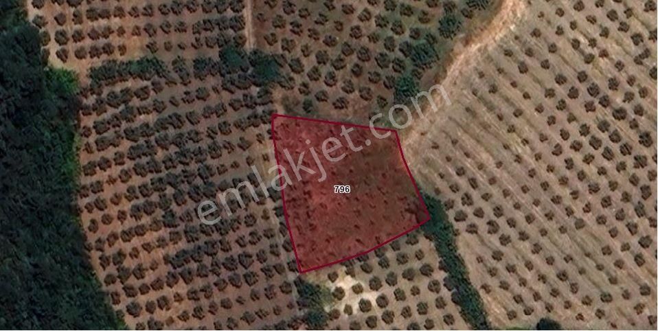 İdenova Gayrimenkulden Dedeköyde Fırsat Uygun Fiyatlı Satılık Tarla - Görsel 4