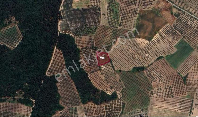 İdenova Gayrimenkulden Dedeköyde Fırsat Uygun Fiyatlı Satılık Tarla