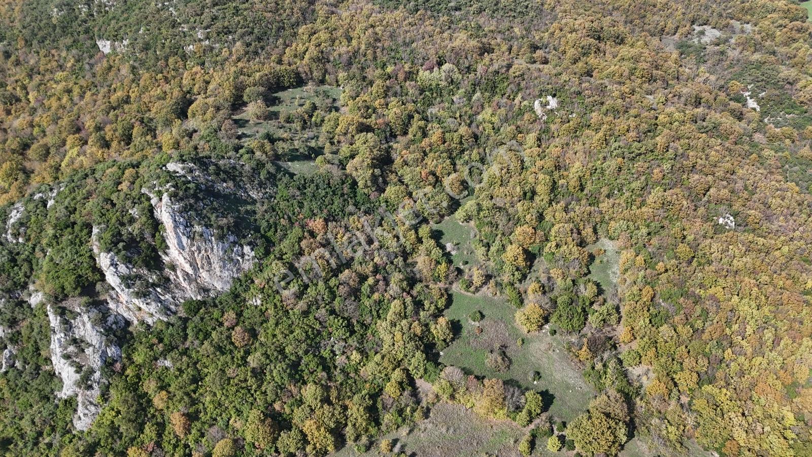 Fiyat Düştü!! 4.800 M2 Ormana Cepheli Suya Yakın, Yatırıma Uygun - Görsel 12