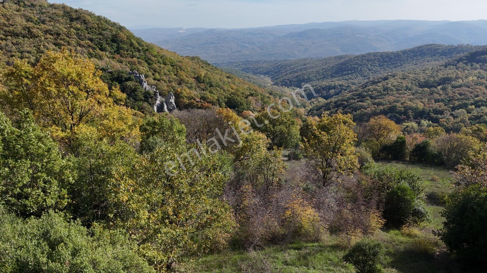Fiyat Düştü!! 4.800 M2 Ormana Cepheli Suya Yakın, Yatırıma Uygun - Görsel 22