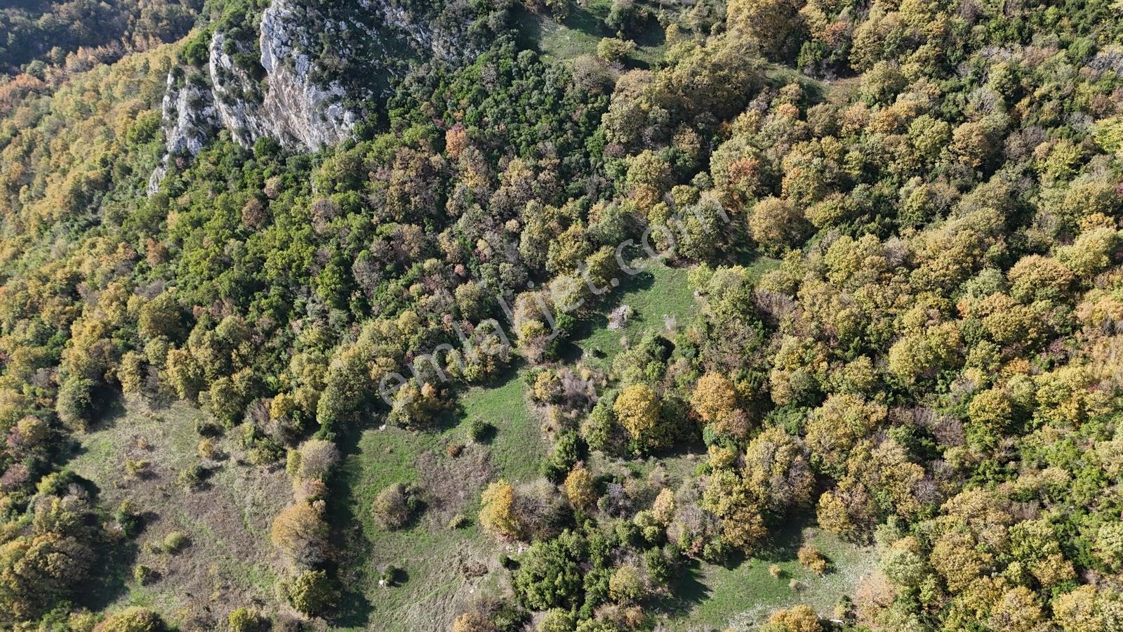Fiyat Düştü!! 4.800 M2 Ormana Cepheli Suya Yakın, Yatırıma Uygun - Görsel 19