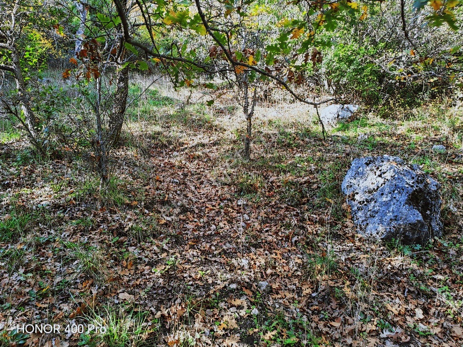 Fiyat Düştü!! 4.800 M2 Ormana Cepheli Suya Yakın, Yatırıma Uygun - Görsel 20